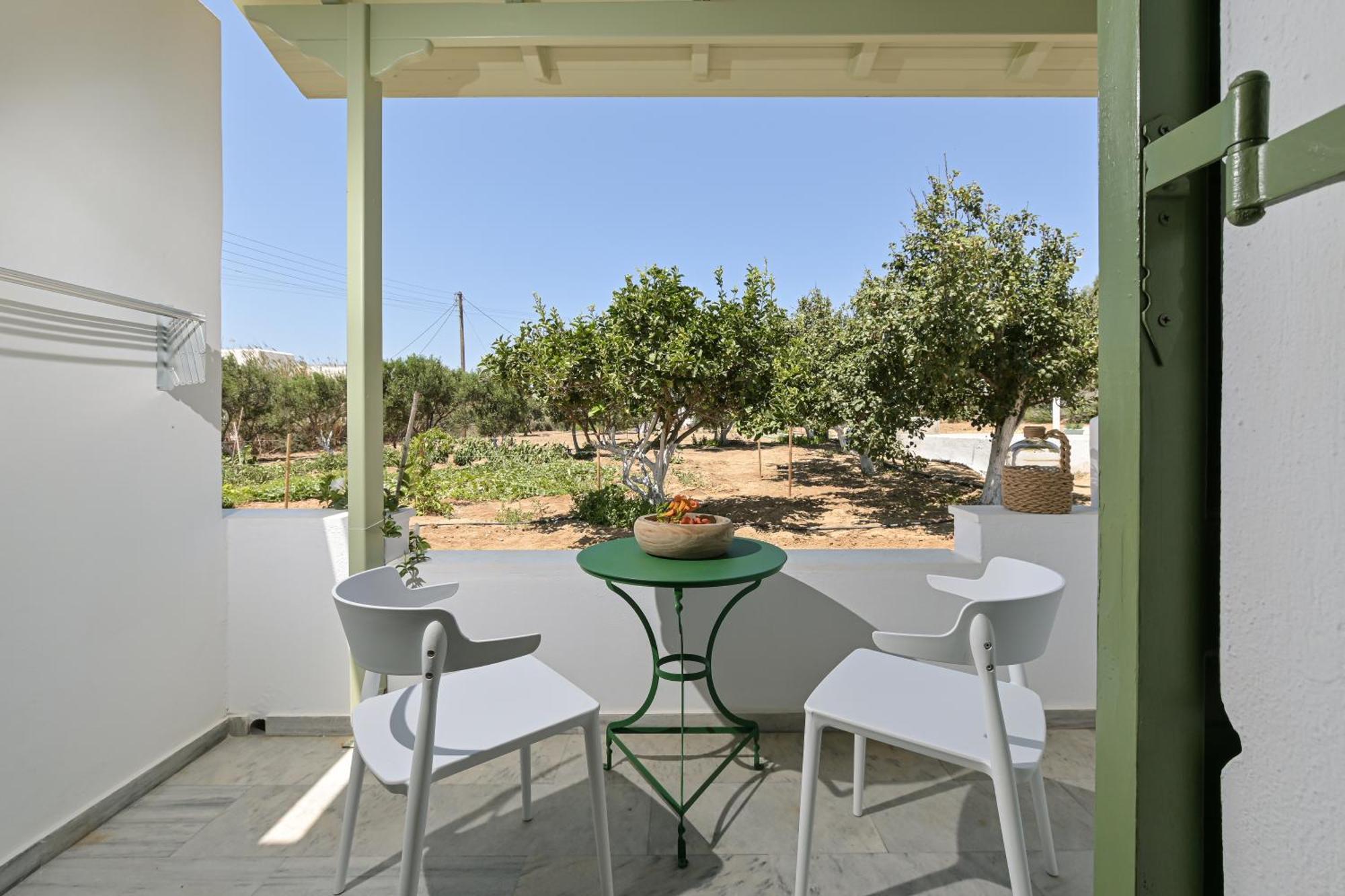 Naxian Garden Of Senses Aparthotel Agia Anna  Exterior photo